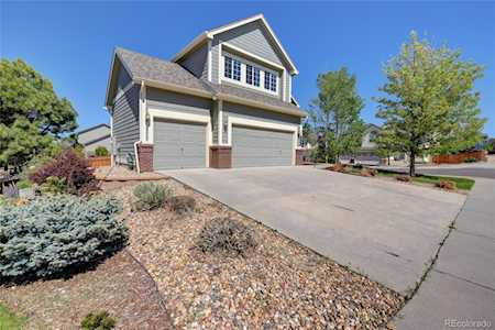 3361 Cremello Ct Castle Rock, CO 80104