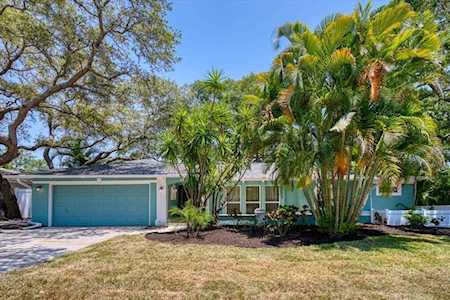 904 Highview Dr Palm Harbor, FL 34683