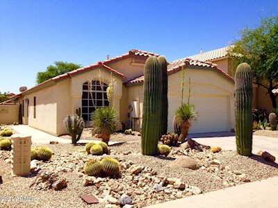 1125 W Macaw Drive Chandler, AZ 85286