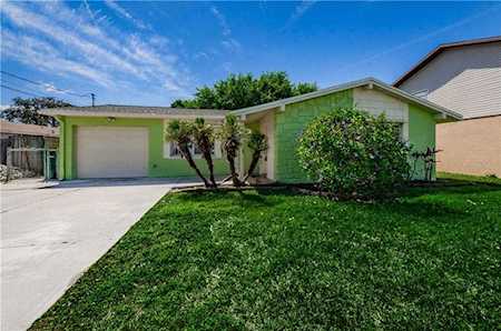 336 Crosswinds Dr Palm Harbor, FL 34683