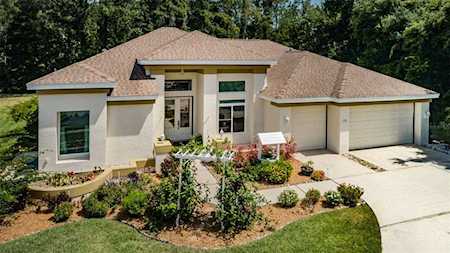 1355 Wild Pine Ct Trinity, FL 34655
