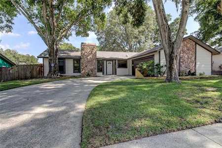 2854 Trailwood Dr Palm Harbor, FL 34684