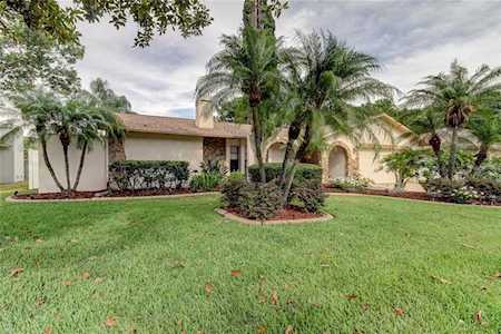 3440 Brian Rd S Palm Harbor, FL 34685