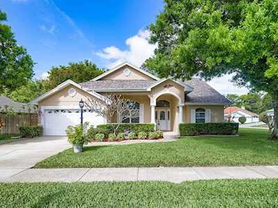 712 Sunflower Dr Palm Harbor, FL 34683