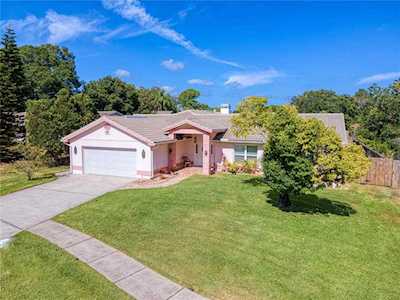 521 Plover PLACE Palm Harbor, FL 34683
