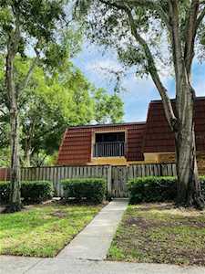 2734 5th Ct Palm Harbor, FL 34684