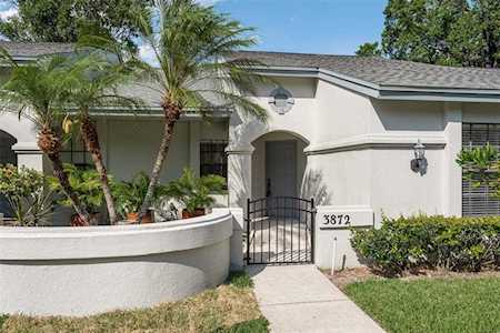 3872 Pheasant Ct Palm Harbor, FL 34685