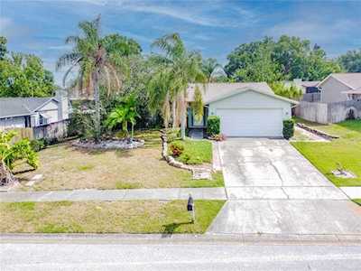 552 Hammock Dr Palm Harbor, FL 34683