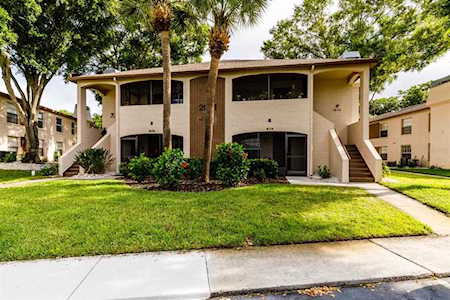 2981 Bonaventure CIRCLE #103 Palm Harbor, FL 34684