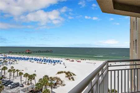 10 Papaya St #803 Clearwater, FL 33767