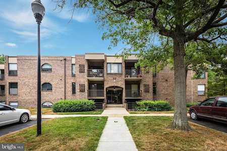 9 Silverwood Circle #11 Annapolis, MD 21403
