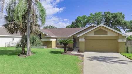 1546 Sand Hollow Ct Palm Harbor, FL 34683
