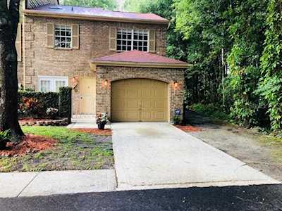 4141 Daventry Ln Palm Harbor, FL 34685