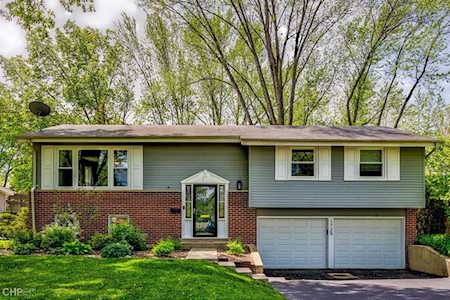 1729 E Jonquil Terrace Arlington Heights, IL 60004