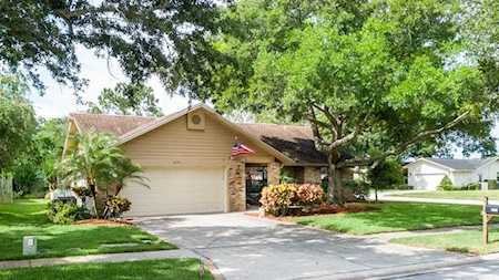 2124 Tamarron TERRACE Palm Harbor, FL 34683