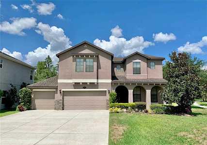 19301 Water Maple Dr Tampa, FL 33647