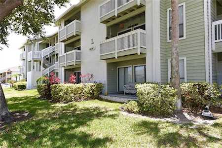 455 Alt 19 S #204 Palm Harbor, FL 34683