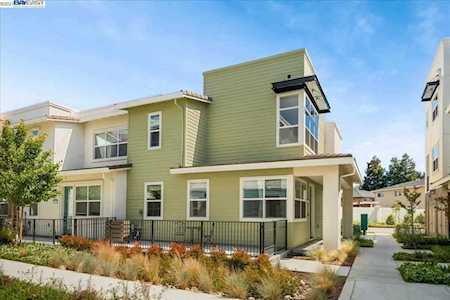 40745 Squill Commons Fremont, CA 94538