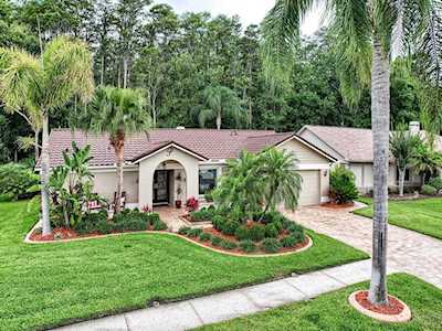 3226 Glenridge Dr Palm Harbor, FL 34685