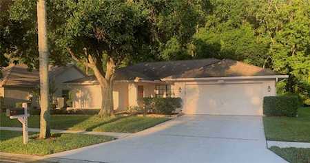 3250 Glenridge Dr Palm Harbor, FL 34685