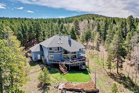 26991 Molly Dr Conifer, CO 80433