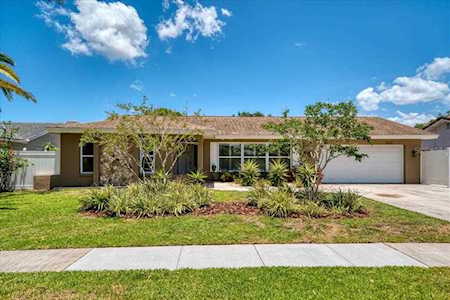 2039 Kingfisher Dr Palm Harbor, FL 34683
