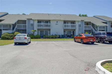 455 Alt 19 S #84 Palm Harbor, FL 34683