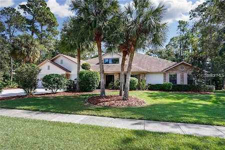 85 Deerpath Dr Oldsmar, FL 34677