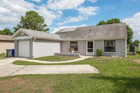 1917 Cutty Bay Ct Oldsmar, FL 34677