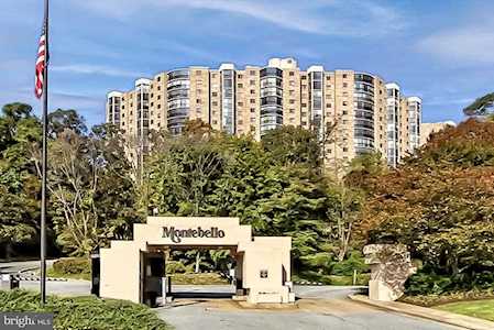 5902 Mount Eagle Dr #509 Alexandria, VA 22303