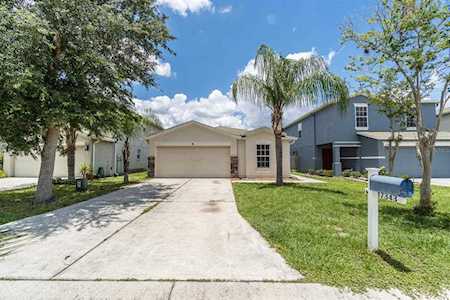 17343 Mint Leaf Ln Land O Lakes, FL 34638