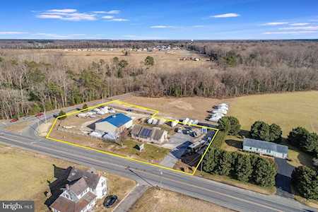 22357 John J Williams Hwy Lewes, DE 19958