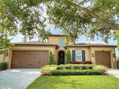 1991 Hidden Springs Dr Trinity, FL 34655