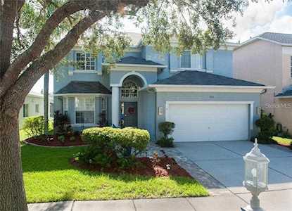 19313 Aqua Springs Dr Lutz, FL 33558