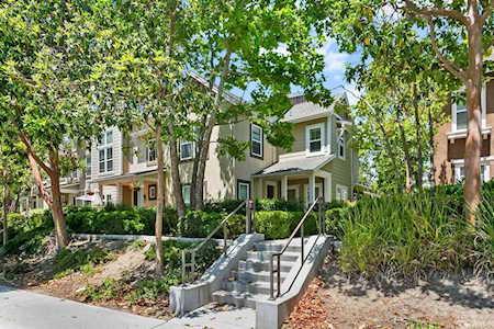 49 Orange Blossom Circle Ladera Ranch, CA 92694