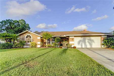 1855 Stable Trl Palm Harbor, FL 34685