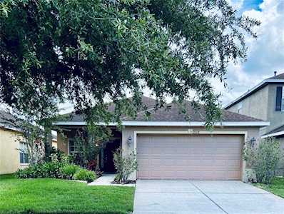 20118 Bay Cedar Ave Tampa, FL 33647