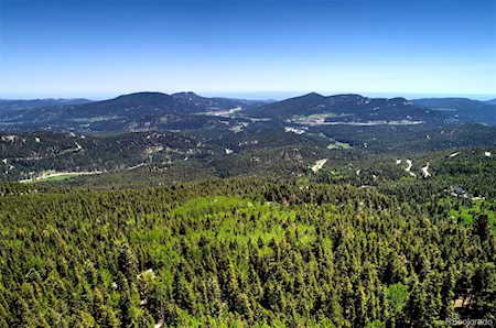 10746 Timothys Dr Conifer, CO 80433
