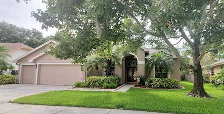 916 Kingscote Ct Safety Harbor, FL 34695