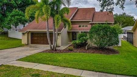 782 Timuquana Ln Palm Harbor, FL 34683