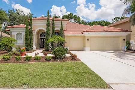 5270 Karlsburg PLACE Palm Harbor, FL 34685