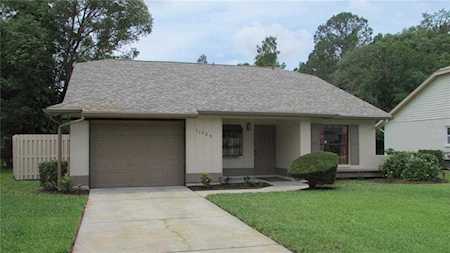 11525 Rose Tree Dr New Port Richey, FL 34654