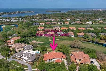 1175 Skye Ln Palm Harbor, FL 34683