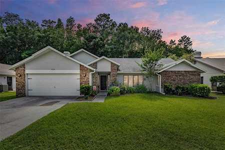3262 Glenridge Dr Palm Harbor, FL 34685