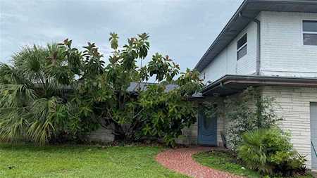 616 Lemonwood Dr Oldsmar, FL 34677