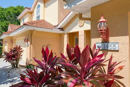 1455 Hidden Ct Tarpon Springs, FL 34689