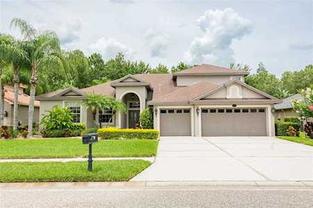 16048 Ivy Lake Dr Odessa, FL 33556