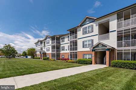 17063 Brandt St #4302 Lewes, DE 19958