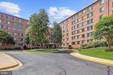 3000 Spout Run Parkway #A502 Arlington, VA 22201