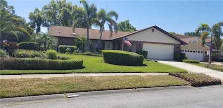 1766 Powder Ridge Dr Palm Harbor, FL 34683